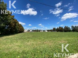  Land for sale in La Plata, Buenos Aires, La Plata