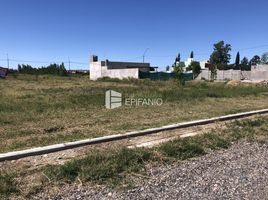  Terreno (Parcela) en venta en Rio Negro, General Roca, Rio Negro