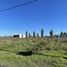 Terrain à vendre à La Plata, Buenos Aires, La Plata