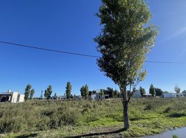 Terrain à vendre à La Plata, Buenos Aires, La Plata