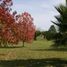  Land for sale in Brandsen, Buenos Aires, Brandsen