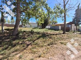  Land for sale in Neuquen, Confluencia, Neuquen