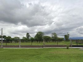  Terreno (Parcela) en alquiler en Argentina, Burruyacu, Tucuman, Argentina