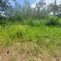  Land for sale in Misiones, Capital, Misiones