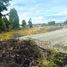  Terreno (Parcela) en venta en Llanquihue, Los Lagos, Puerto Montt, Llanquihue