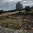  Terreno (Parcela) en venta en Llanquihue, Los Lagos, Puerto Montt, Llanquihue