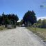  Land for sale in Chile, Puerto Montt, Llanquihue, Los Lagos, Chile