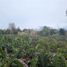 Land for sale in Chile, Puerto Montt, Llanquihue, Los Lagos, Chile