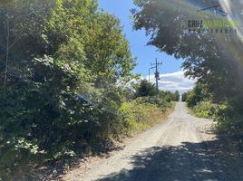  Land for sale in Chile, Puerto Montt, Llanquihue, Los Lagos, Chile