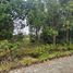  Land for sale in Chile, Puerto Montt, Llanquihue, Los Lagos, Chile