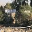  Land for sale in Chile, San Jode De Maipo, Cordillera, Santiago, Chile