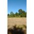  Terreno (Parcela) en venta en Araucanía, Villarrica, Cautín, Araucanía