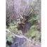  Terreno (Parcela) en venta en Araucanía, Villarrica, Cautín, Araucanía