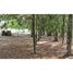  Land for sale in Araucania, Pucon, Cautin, Araucania