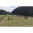  Land for sale in Araucania, Pucon, Cautin, Araucania