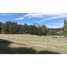  Land for sale in Araucania, Pucon, Cautin, Araucania