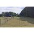  Land for sale in Araucania, Pucon, Cautin, Araucania