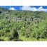  Land for sale in Chile, Vilcun, Cautin, Araucania, Chile
