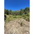  Land for sale in Curarrehue, Araucania, Curarrehue