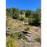  Land for sale in Chile, Curarrehue, Cautin, Araucania, Chile