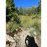  Land for sale in Chile, Curarrehue, Cautin, Araucania, Chile