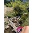  Land for sale in Chile, Curarrehue, Cautin, Araucania, Chile
