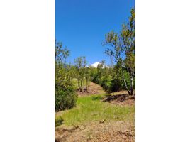  Land for sale in Araucania, Pucon, Cautin, Araucania