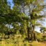  Land for sale in Cautin Araucania, Villarrica, Cautin, Araucania, Chile