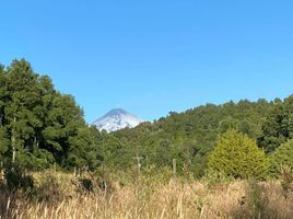  Land for sale in Cautin Araucania, Villarrica, Cautin, Araucania, Chile