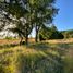  Land for sale in Cautin Araucania, Villarrica, Cautin, Araucania, Chile