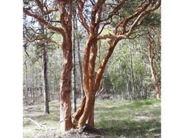  Terreno (Parcela) en venta en Chile, Pucón, Cautín, Araucanía, Chile
