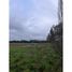  Land for sale in Chile, Pitrufquen, Cautin, Araucania, Chile