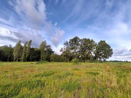  Land for sale in Chile, Pitrufquen, Cautin, Araucania, Chile