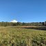  Terreno (Parcela) en venta en Araucanía, Pucón, Cautín, Araucanía