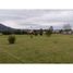  Terreno (Parcela) en venta en Araucanía, Villarrica, Cautín, Araucanía