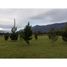  Terreno (Parcela) en venta en Araucanía, Villarrica, Cautín, Araucanía