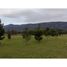  Terreno (Parcela) en venta en Araucanía, Villarrica, Cautín, Araucanía