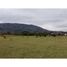  Terreno (Parcela) en venta en Araucanía, Villarrica, Cautín, Araucanía
