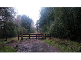  Terreno (Parcela) en venta en Cautín, Araucanía, Pucón, Cautín
