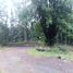  Terreno (Parcela) en venta en Cautín, Araucanía, Pucón, Cautín