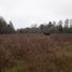  Land for sale in Chile, Loncoche, Cautin, Araucania, Chile
