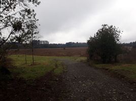  Land for sale in Chile, Loncoche, Cautin, Araucania, Chile