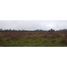  Land for sale in Chile, Loncoche, Cautin, Araucania, Chile