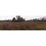  Land for sale in Chile, Loncoche, Cautin, Araucania, Chile