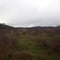  Land for sale in Chile, Loncoche, Cautin, Araucania, Chile