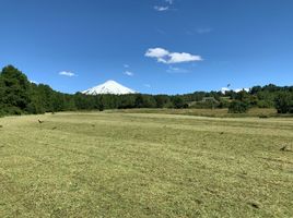  Terreno (Parcela) en venta en Chile, Pucón, Cautín, Araucanía, Chile