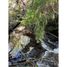  Land for sale in Cautin Araucania, Curarrehue, Cautin, Araucania, Chile