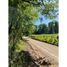  Land for sale in Cautin Araucania, Curarrehue, Cautin, Araucania, Chile