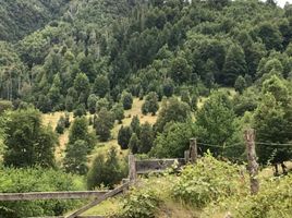  Land for sale in Cautin Araucania, Curarrehue, Cautin, Araucania, Chile