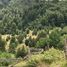  Land for sale in Curarrehue, Araucania, Curarrehue
